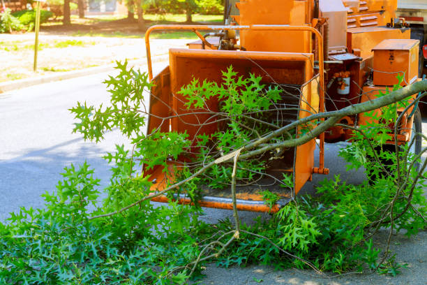 Best Commercial Tree Services  in USA